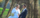 Hochzeitsfotograf Lippspringe